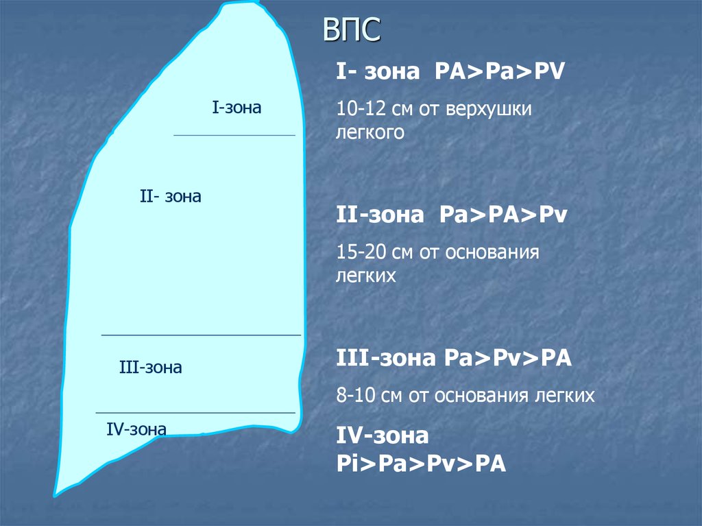 3 Зоны легких.