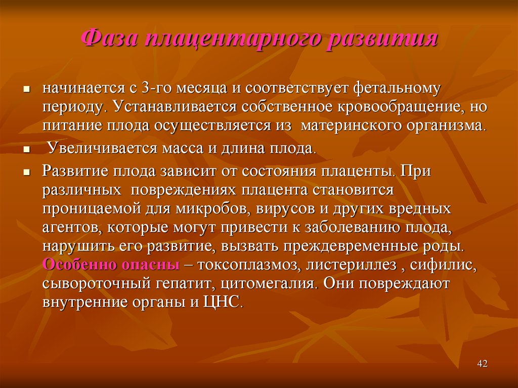 Установившийся период. Связь материнского организма и плода осуществляется. Связь материнского организма и плода осуществляется в основном через.