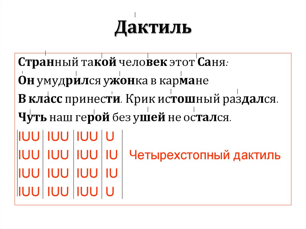 Дактиль примеры