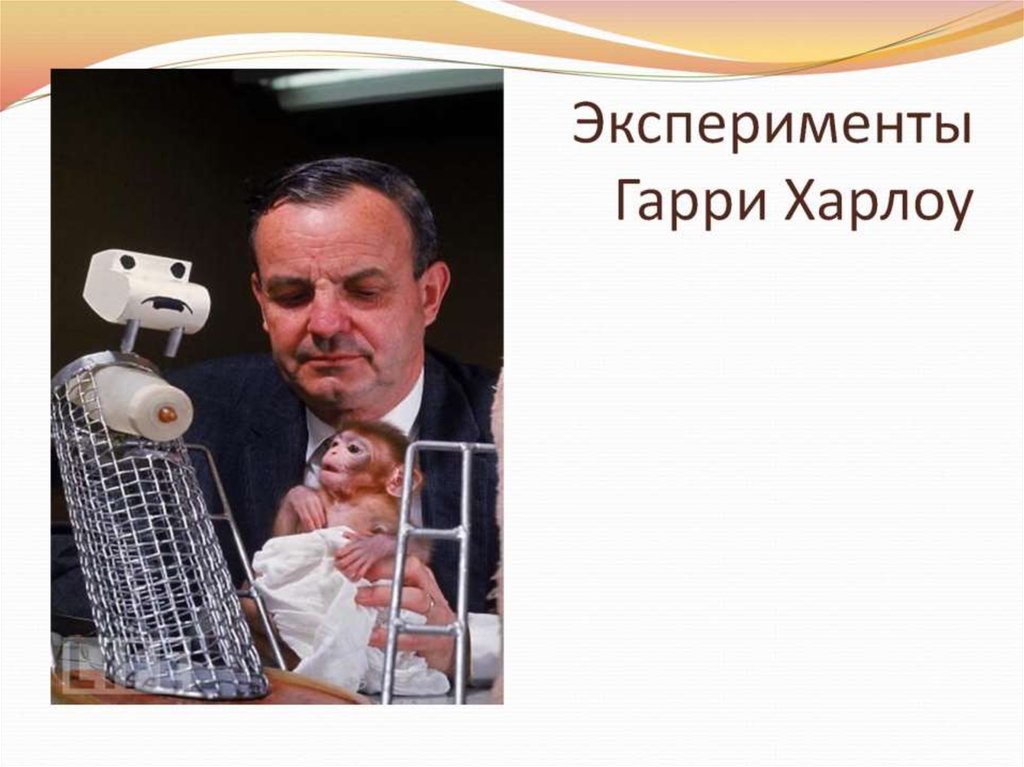 Эксперименты Гарри Харлоу