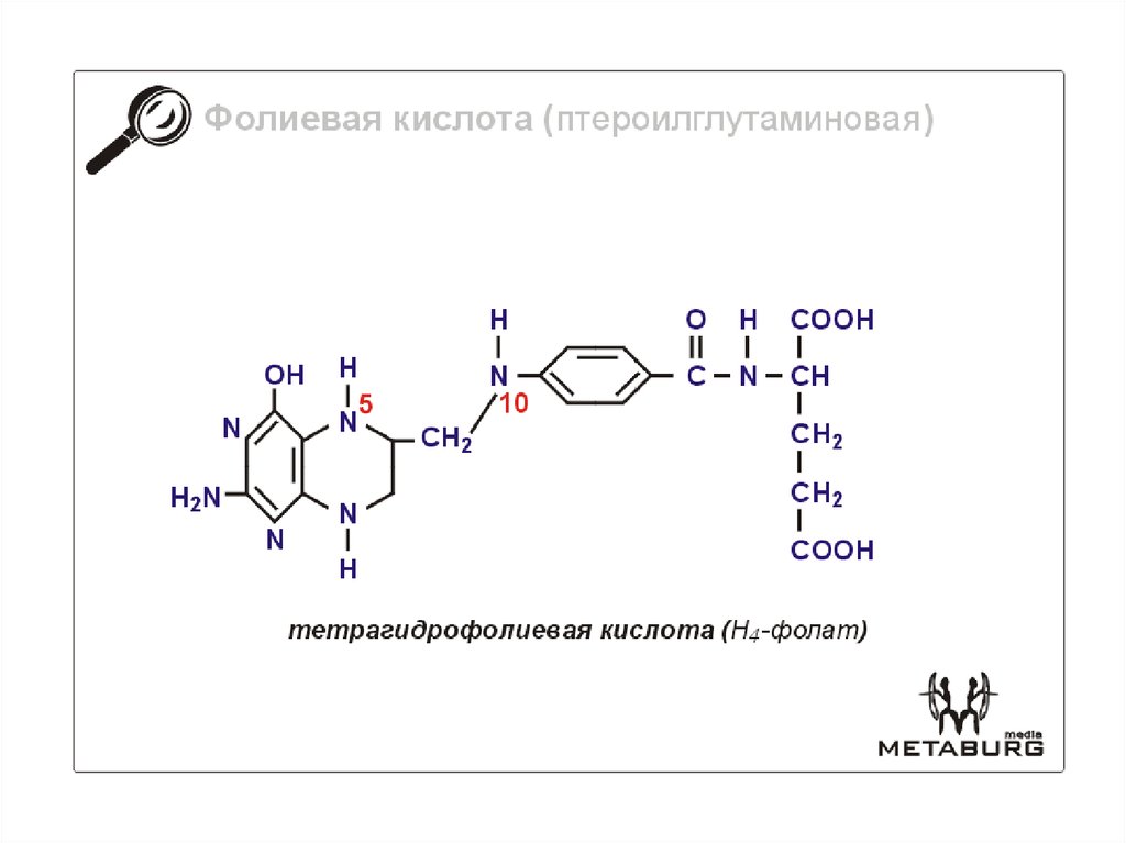 Фол кислота. Тетрагидрофолиевая кислота кофермент. Тетрагидрофолиевая кислота формула. Формула тетрагидрофолиевой кислоты. Тетрагидрофолиевая кислота и фолиевая кислота.