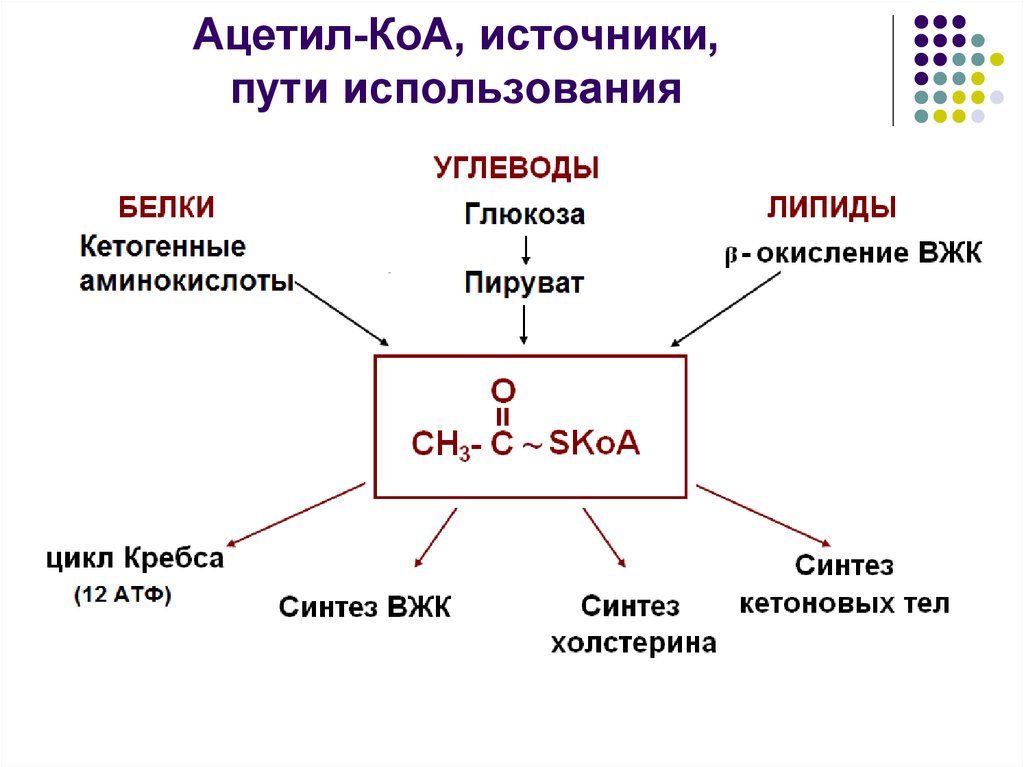 Синтез образов. Схема реакции образования ацетил КОА. Ацетил КОА структурная формула. Ацетил КОА формула биохимия. Ацетил-КОА это в биохимии функция.