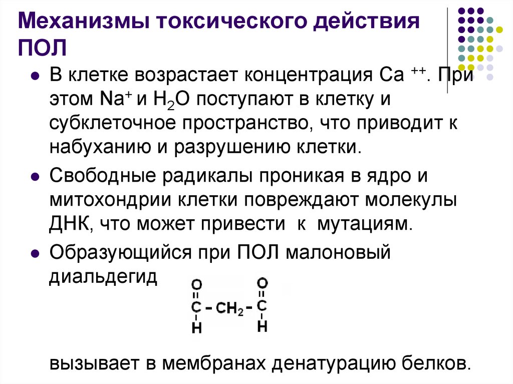 Концентрации кетоновых тел. Механизм токсического действия. Механизм токсического действия на клетки. Токсическое действие кетоновых тел. Обмен кетоновых тел холестерина.