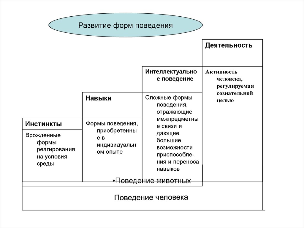 Заполнить таблицу формы поведения. Формы поведения животных инстинкт навык интеллектуальное поведение. Основные формы поведения. Развитие форм поведения. Формы поведения животных таблица.