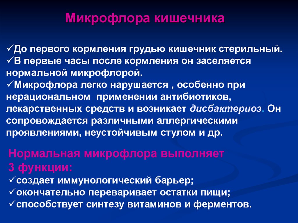 Анатомо физиологические особенности органов пищеварения презентация