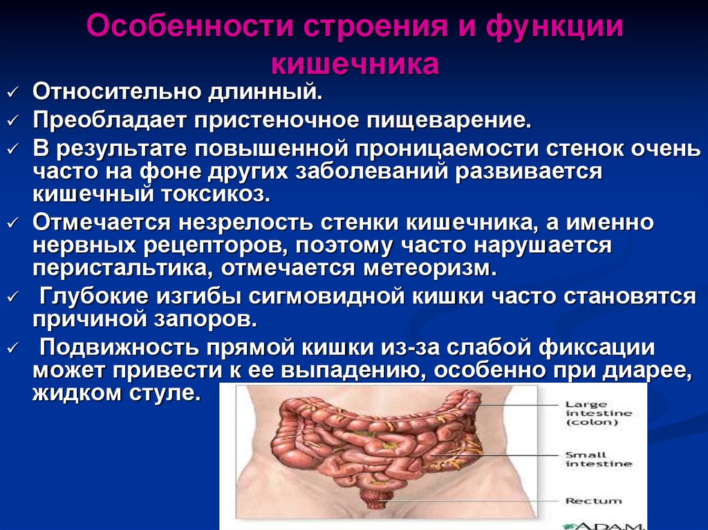 Сосудистый рисунок усилен в кишечнике что это