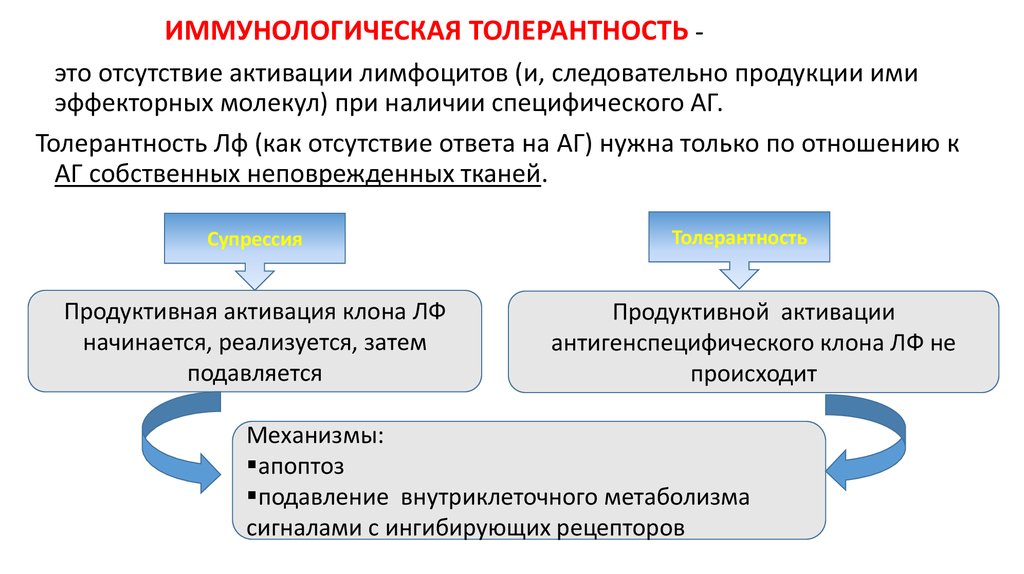 Иммунологическая толерантность. Виды иммунной толерантности. Причины развития иммунологической толерантности. Сферы использования иммунологической толерантности. Иммунологическая память и иммунологическая толерантность.