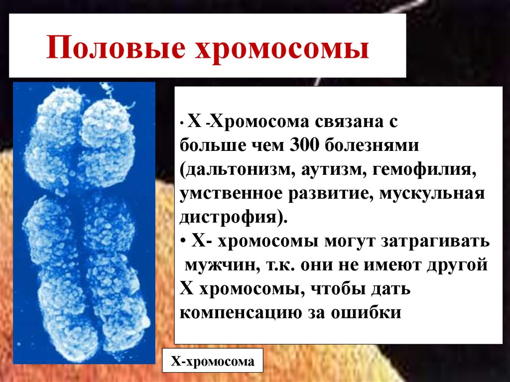 Половые хромосомные заболевания