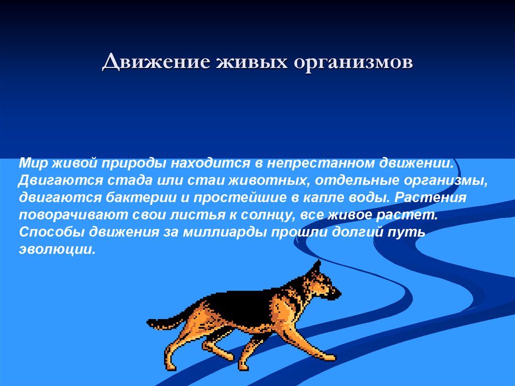 Движение свойство животных обитателей разных сред 7 класс презентация