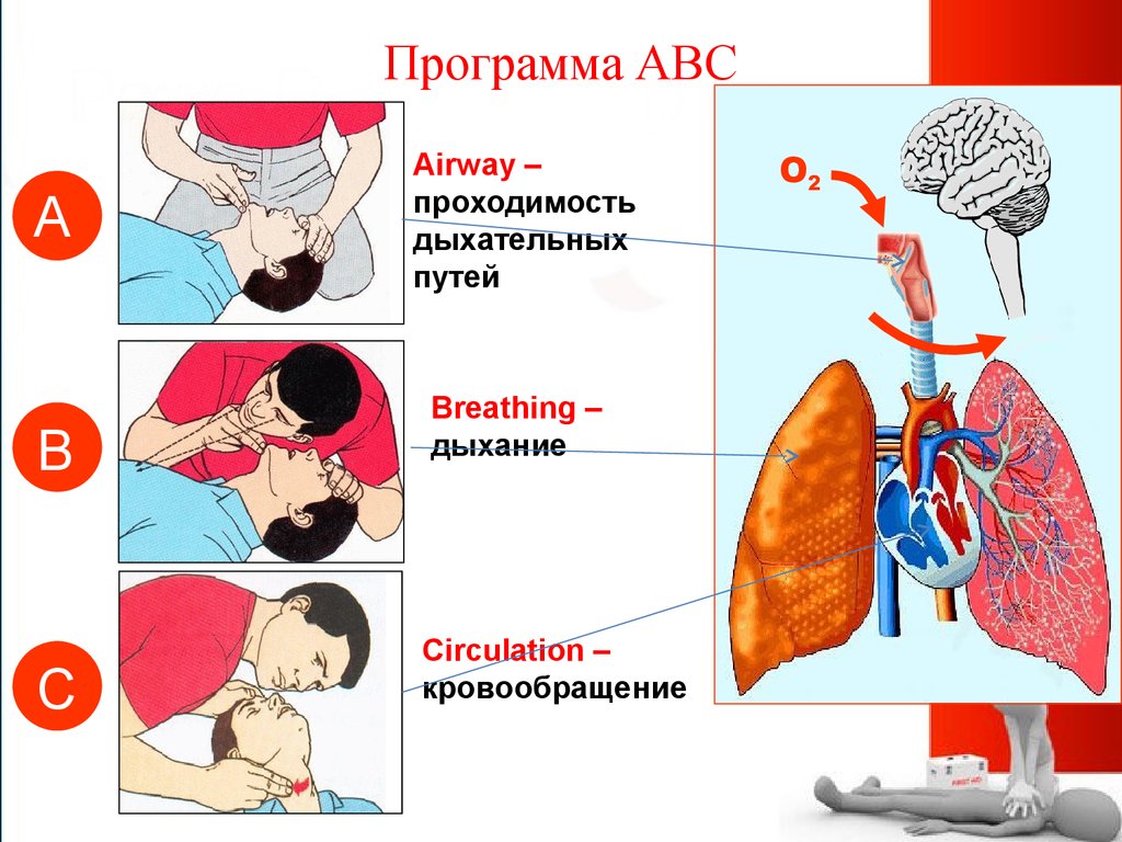 Легочные кровотечения картинки