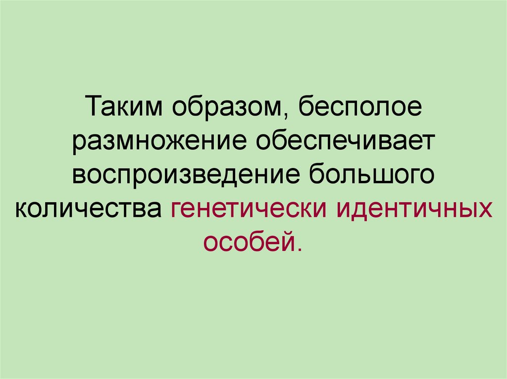 Размножение обеспечивает. Воспроизведение большого количества генетически идентичных. Быстрое воспроизведение большого количества особей.