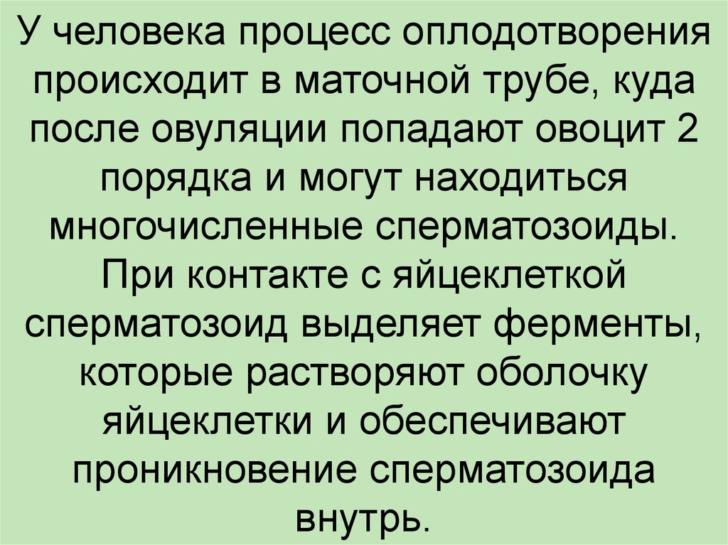 2 процесс оплодотворения. Процессу «оплодотворения» предшествует процесс «__________________».. Оплодотворение происходит только при наличии воды.