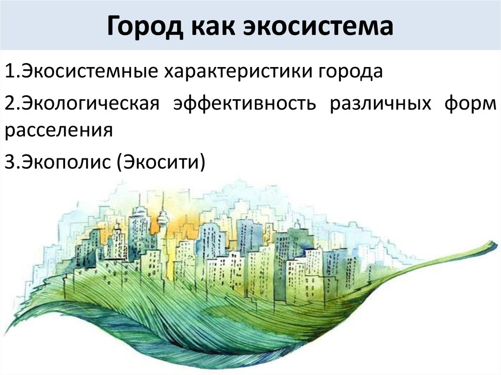 Среда экологическое сообщество. Экосистема. Городская экосистема. Экосистема городской среды. Городская экосистема это в экологии.