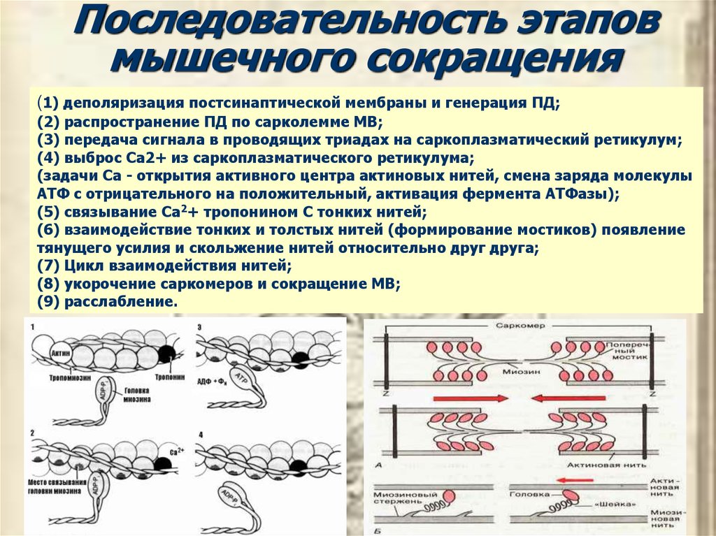 Ооо информационные проекты орск