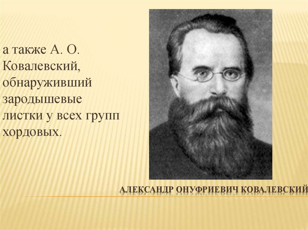 Александр Онуфриевич Ковалевский