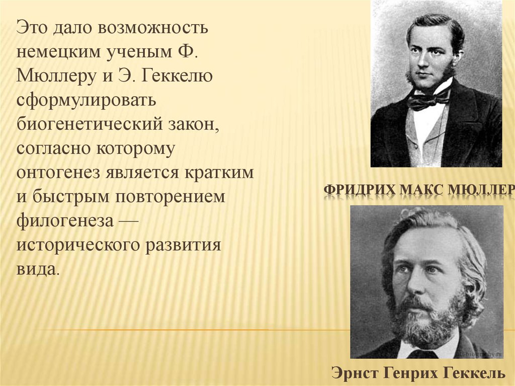 геккель 1866. геккель). хайнрих вильхельм дофе. юстус либих вклад в экологию. теодор шванн вклад.