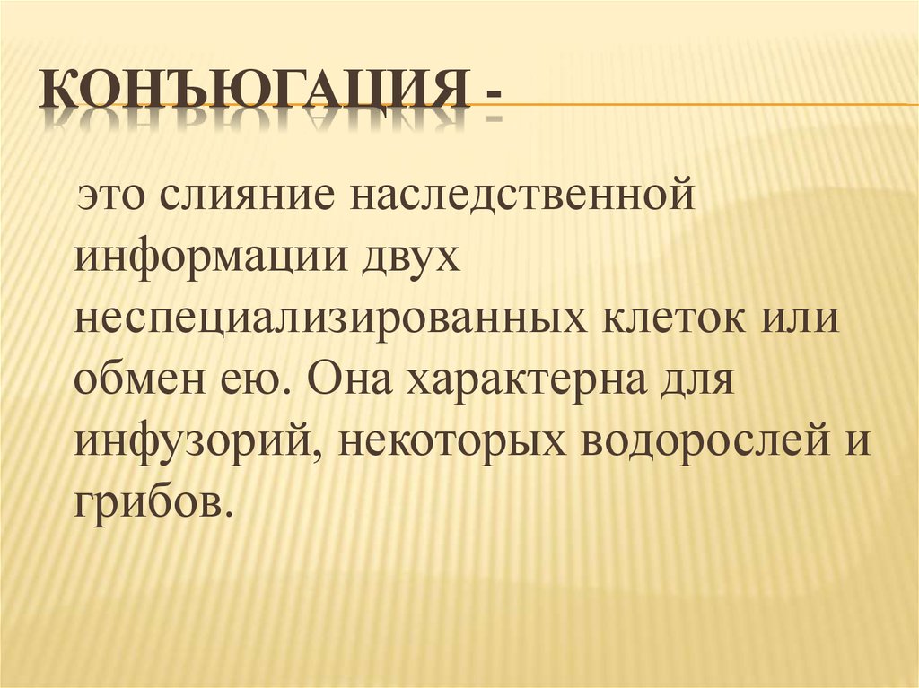 Конъюгация -  