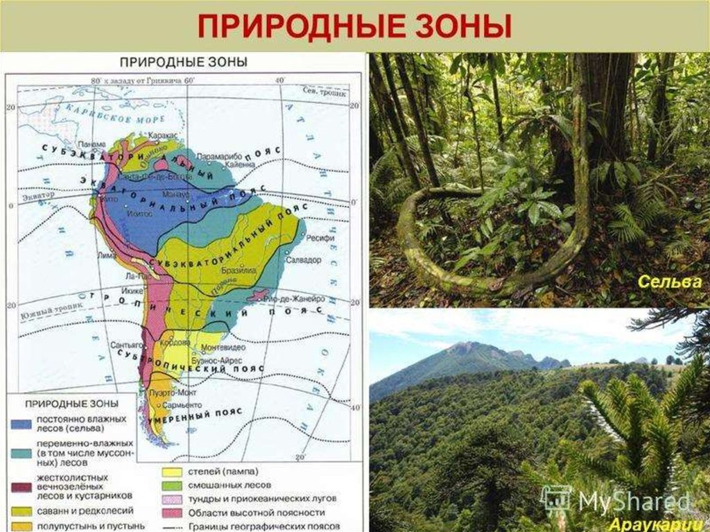 Природные зоны кубы. Карта природных зон Южной Америки. Природные зоны Южной Америки Сельва. Карта природных зон Бразилии. Природные зоны Перу.