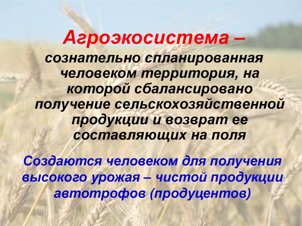 Представленная на рисунке агроэкосистема отличается от природной экосистемы тем что