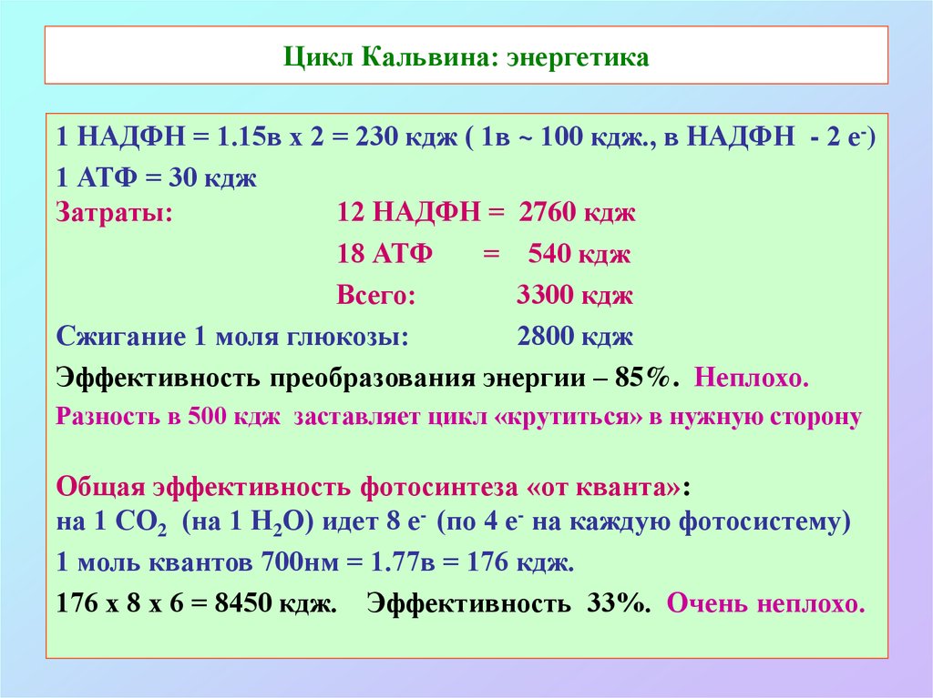 Цикл кальвина схема