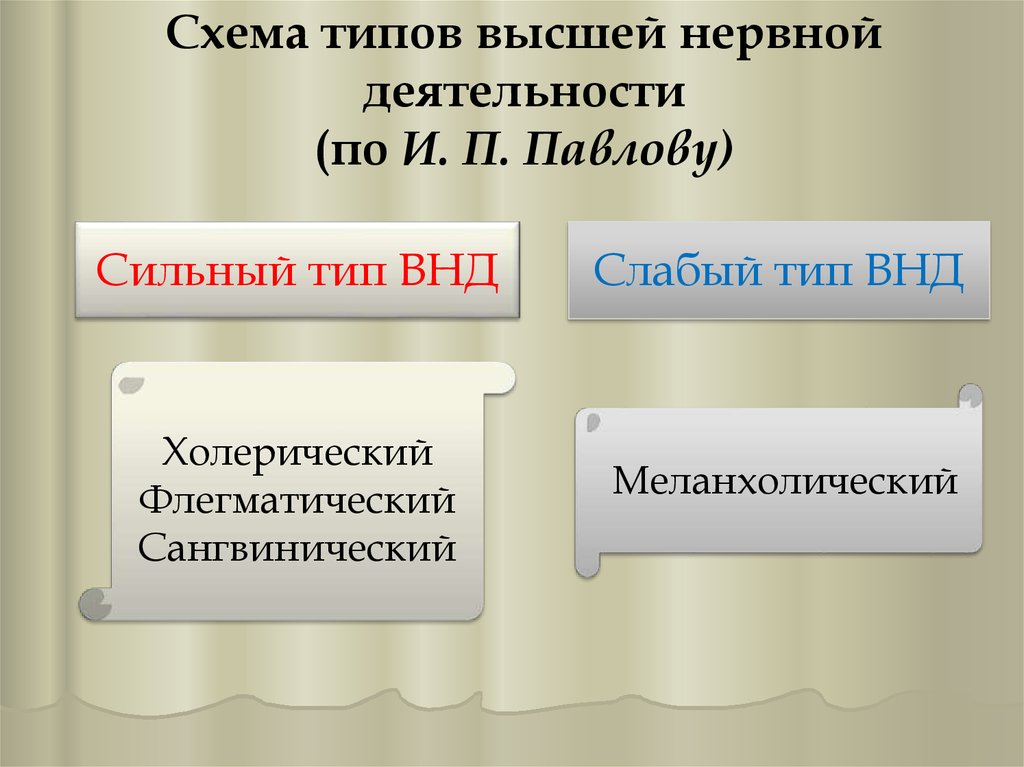 Определение типа внд по анамнестической схеме