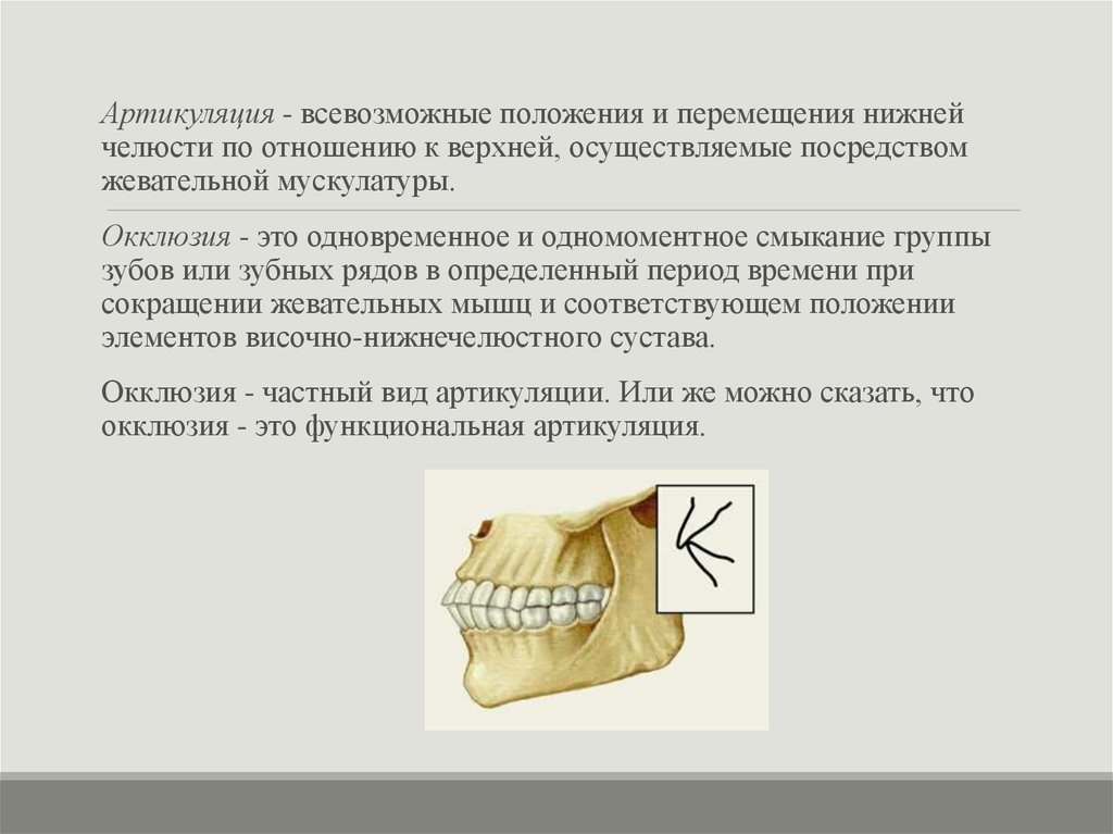 Нижняя артикуляция. Артикуляция нижней челюсти. Артикуляция окклюзия и прикус зубов. Артикуляция это в стоматологии.