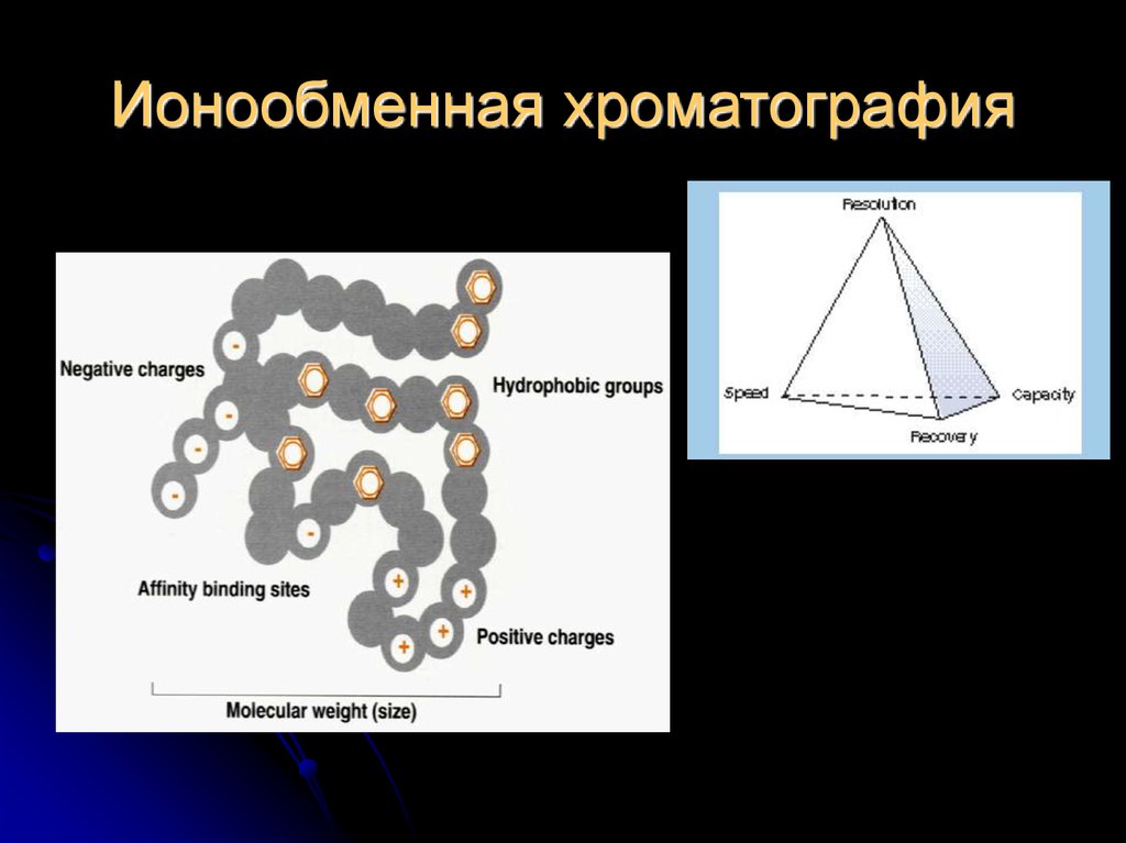 Ионообменная хроматография презентация