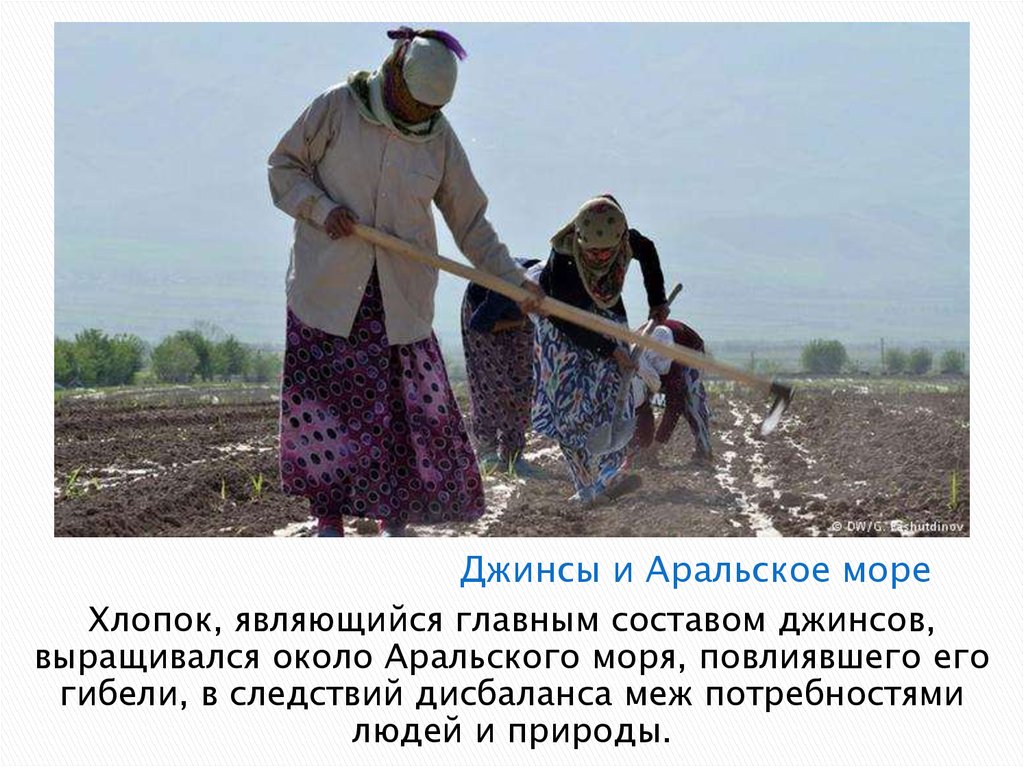 Джинсы и Аральское море