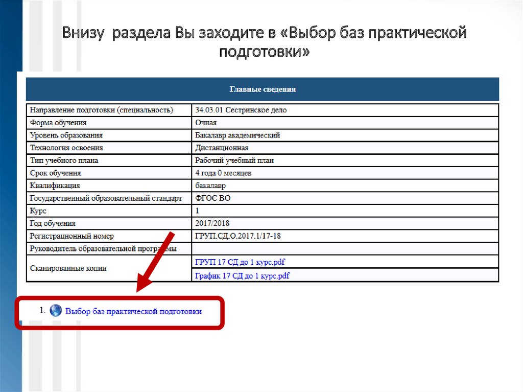 Номер руководства. Наименование базы практической подготовки это что. База практической подготовки это. Номер помещения в практической подготовке.