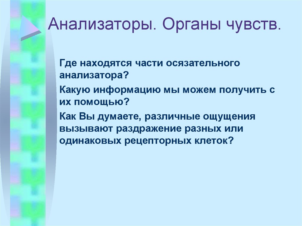 Части осязательного анализатора. Профилактика осязательного анализатора. Какой анализатор не вызывает ясно осознаваемых ощущений.