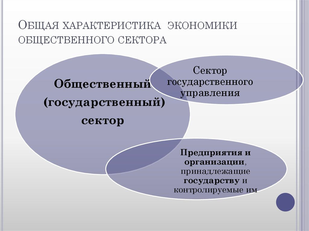 Характер экономики страны. Общественный сектор экономики. Государственный и общественный сектор экономики. Предприятия государственного сектора экономики. Структура общественного сектора экономики.