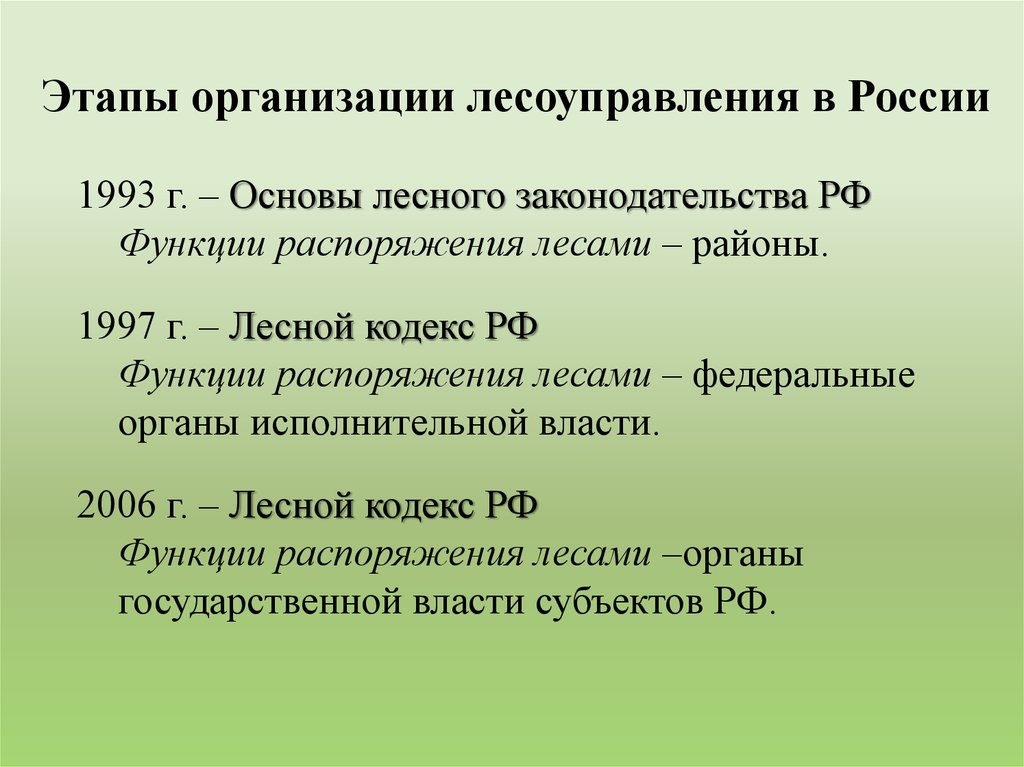 Этапы организации лесоуправления в России