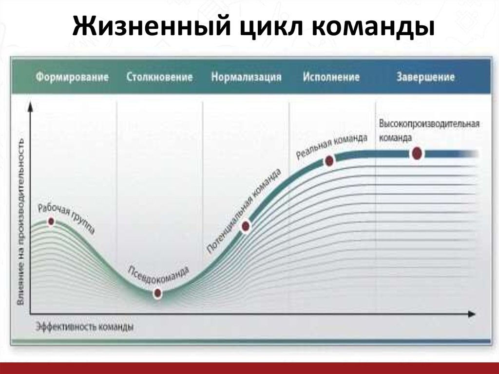 Какой этап жизненного цикла. Фазы жизненного цикла команды. Перечислите этапы жизненного цикла команды. Фаза жизненного цикла развитие команды. Жизненный цикл команды Брюса Такмана состоит из 5 стадий.