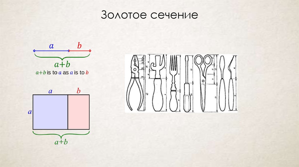 Золотое сечение