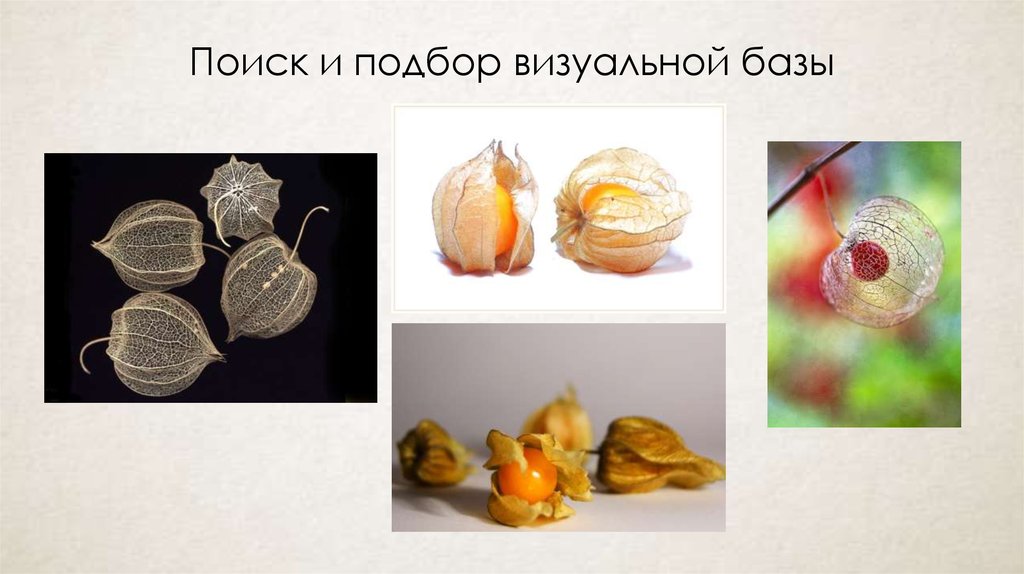 Поиск и подбор визуальной базы