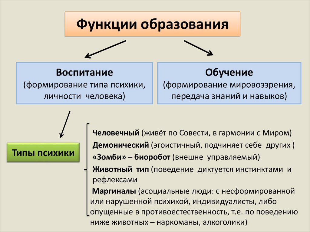 Функции образования