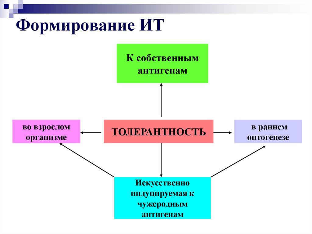 Толерантность организма