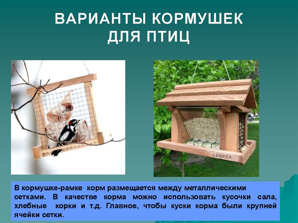 Презентация кормушка для птиц проект