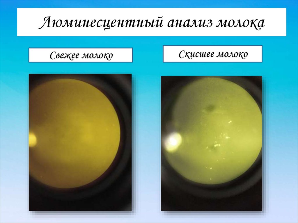 Люминесцентный анализ презентация