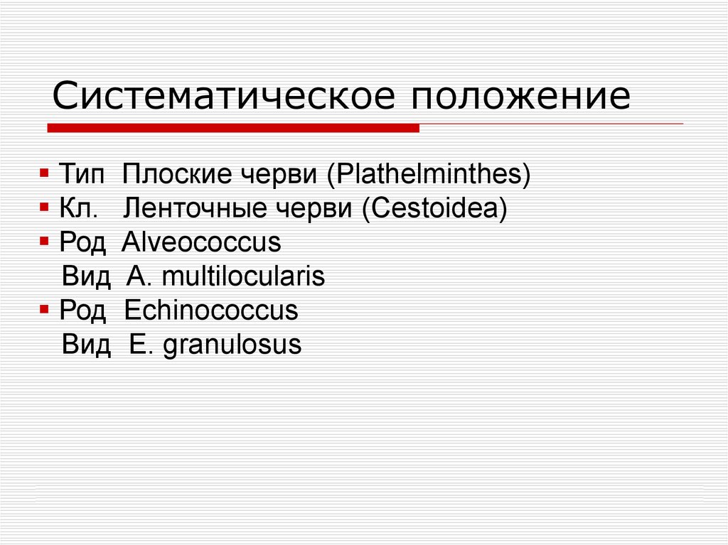 Систематическое поле. Систематическое положение. Систематическое положение типа плоские черви. Черви систематическое положение. Систематическое положение червя.