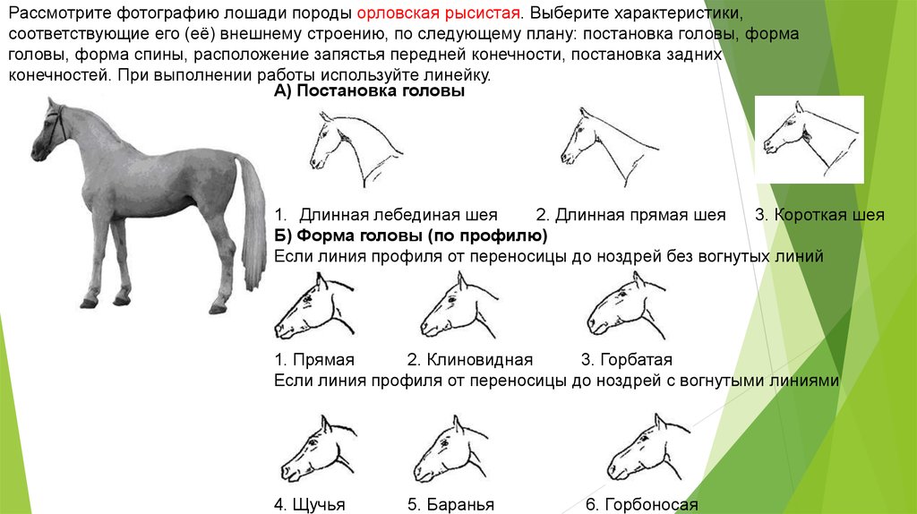 Характеристики соответствующие