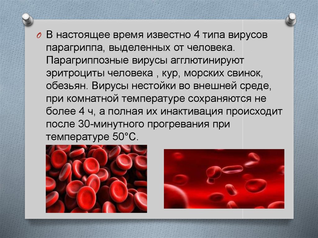 Тканевая совместимость и переливание крови презентация