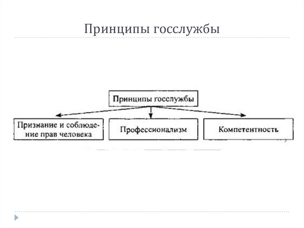 Нравственные принципы государственной службы. Конституционные принципы государственной службы. Принципы государственной службы схема. Конституция принципы гос службы. Сущность конституционных принципов госслужбы.