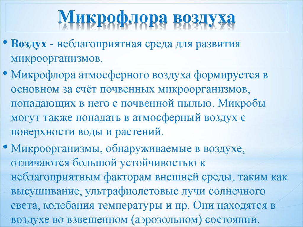 Проект микрофлора воздуха