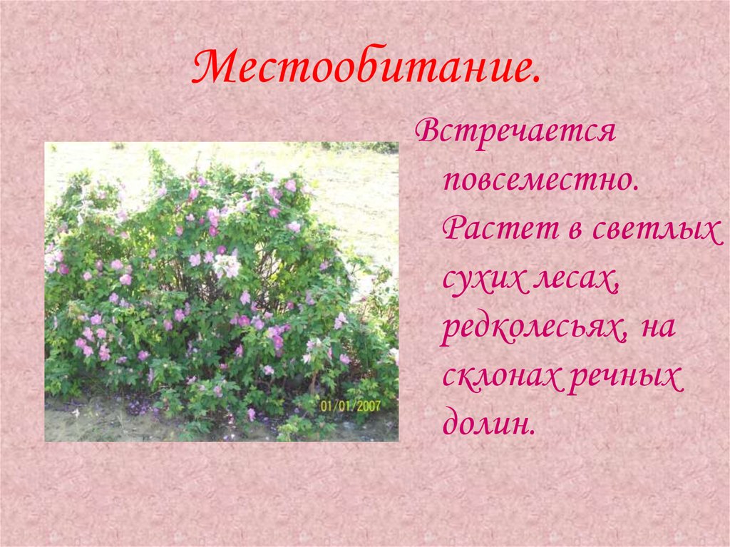 Местообитание.