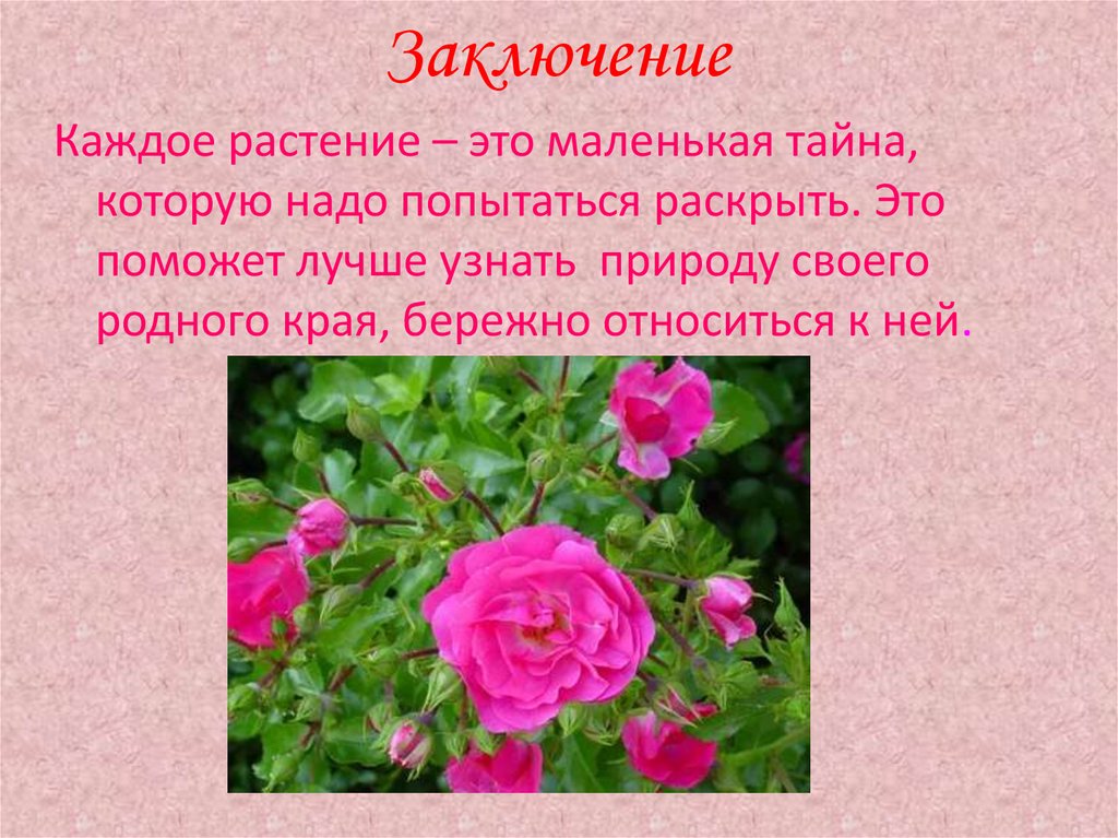 Заключение