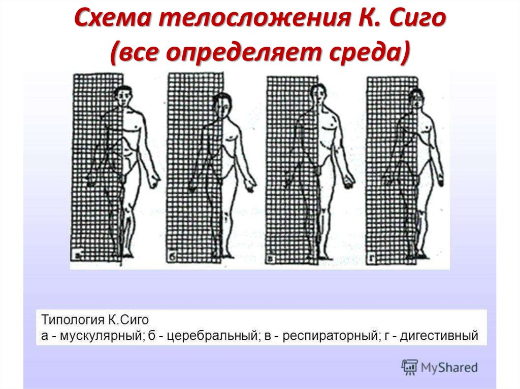 Методика ориентировка в схеме собственного тела семаго