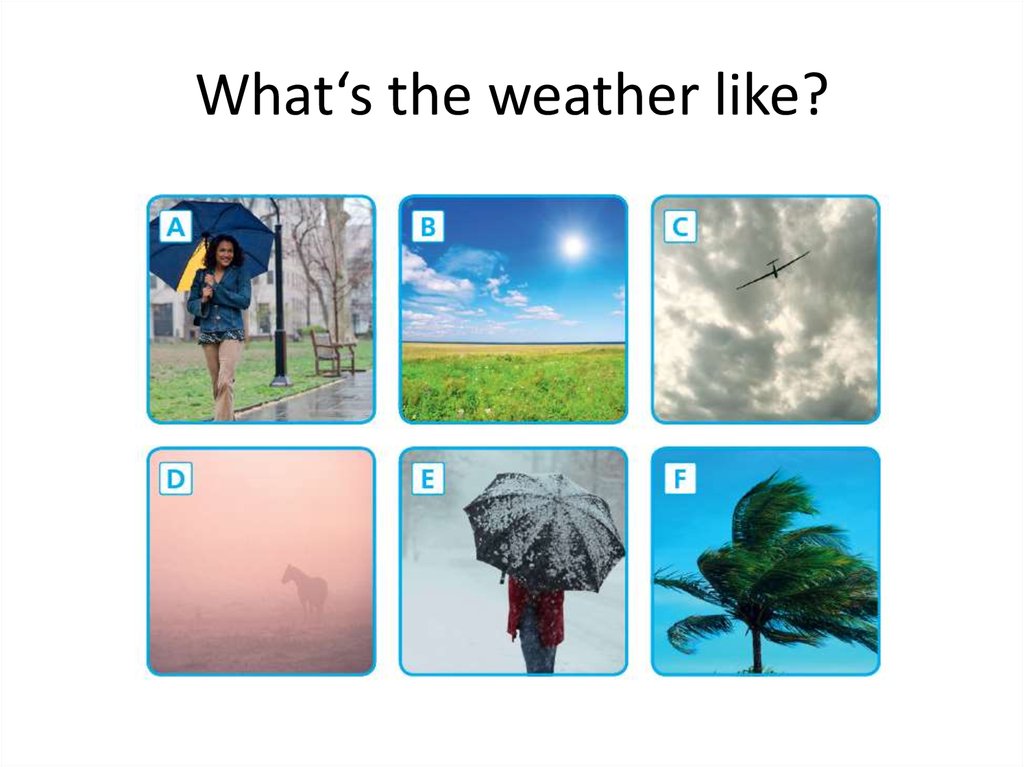 What is the weather like in summer