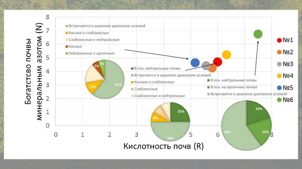 Географический анализ