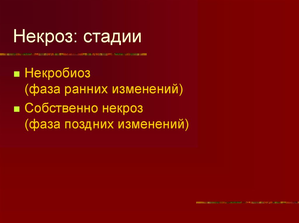 Поздняя смена. Этапы некроза. Фазы некроза. Стадии некротического процесса.